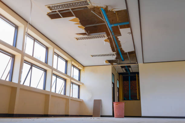 Best Sewage cleanup and water damage restoration  in Beckley, WV