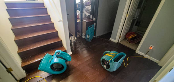 Best Water damage cleanup near me  in Beckley, WV