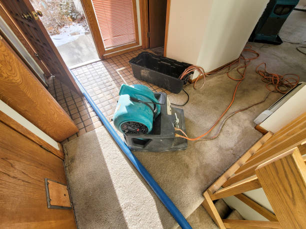 Best Flood restoration services  in Beckley, WV