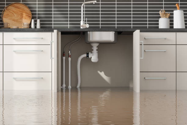 Best Commercial water damage restoration  in Beckley, WV