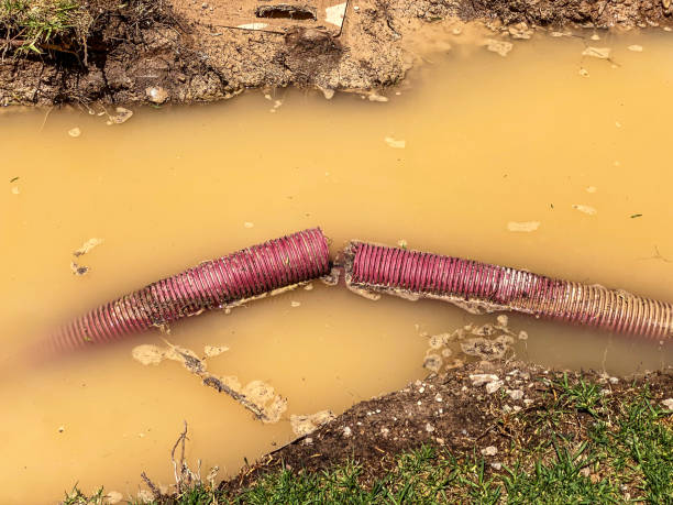 Best Water damage restoration near me  in Beckley, WV
