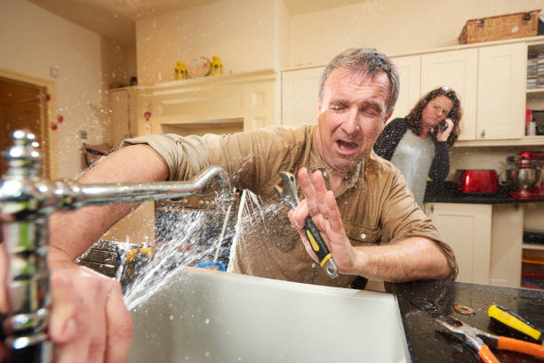 Best Mold removal after water damage  in Beckley, WV